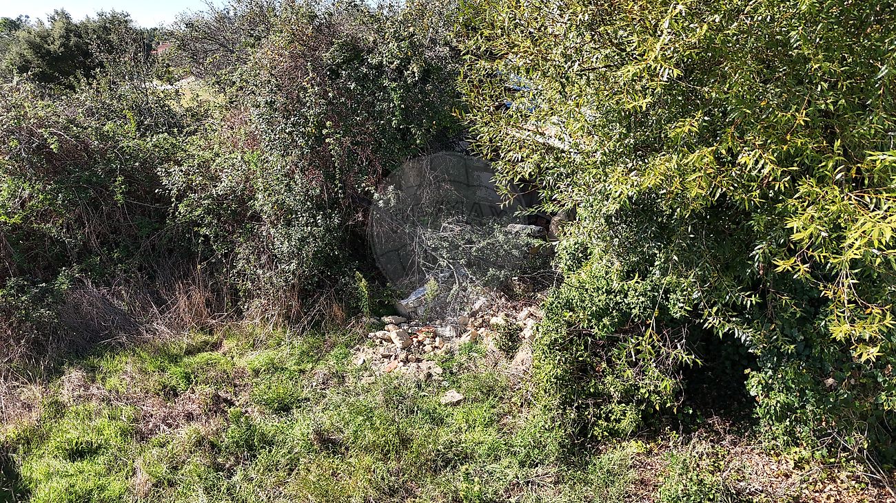 Moradia T1 à venda em Seixo de Gatões, Montemor-o-Velho — foto 15