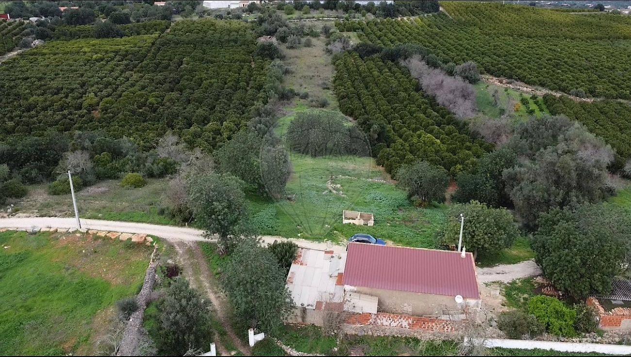 listing 126841004-20 picture-0