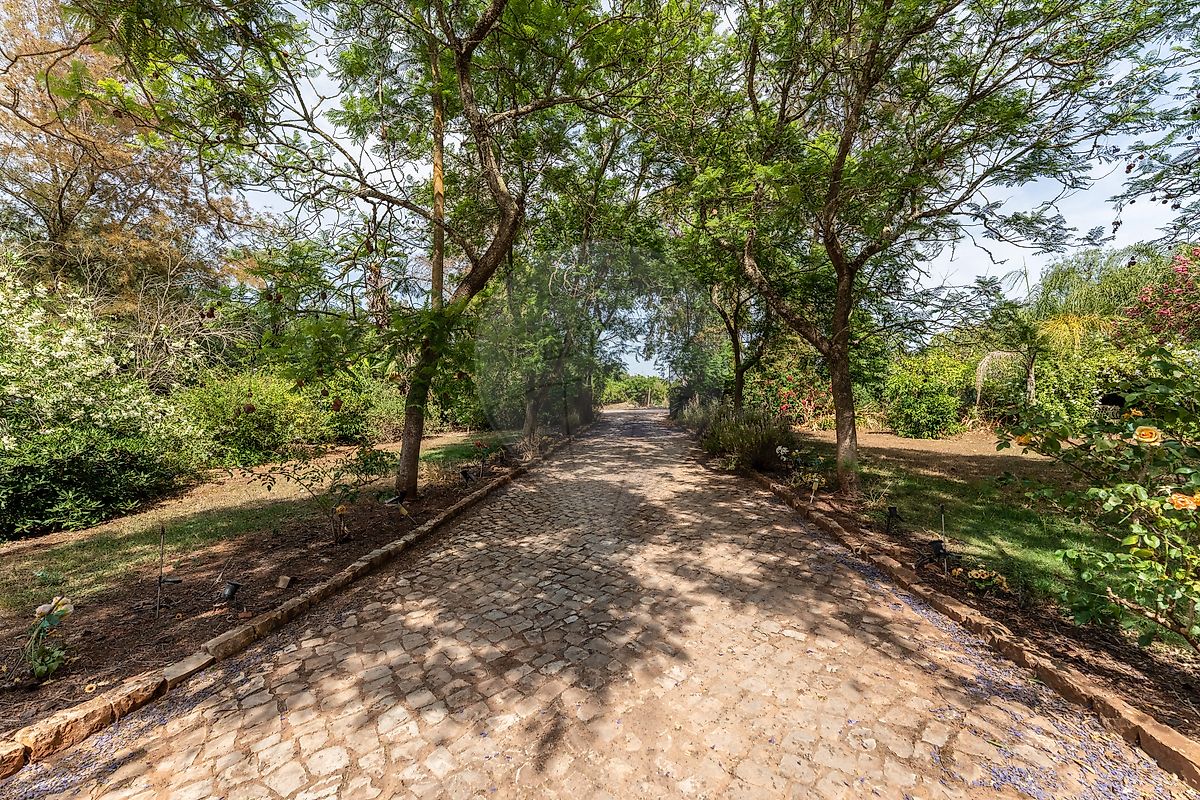 Moradia T5 à venda em Algoz e Tunes, Silves — foto 10