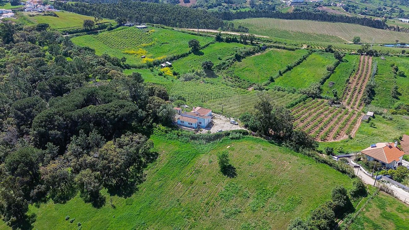 Moradia T2 à venda em Enxara do Bispo, Gradil e Vila Franca do Rosário, Mafra — foto 24
