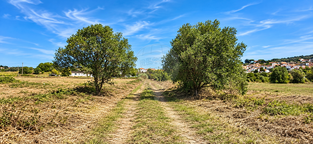 Terreno - Almargem do Bispo, Pêro Pinheiro e Montelavar, Sintra, Lisboa