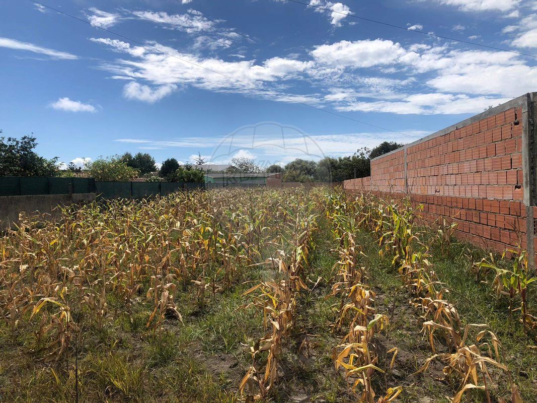 Terreno para venda