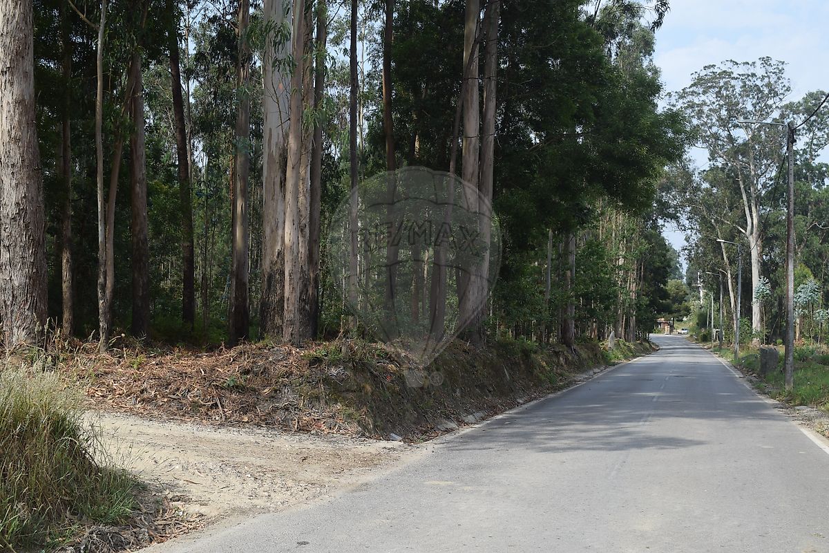 Terreno para venda