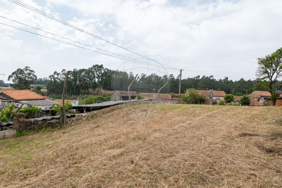 listing 126861039-5 picture-0