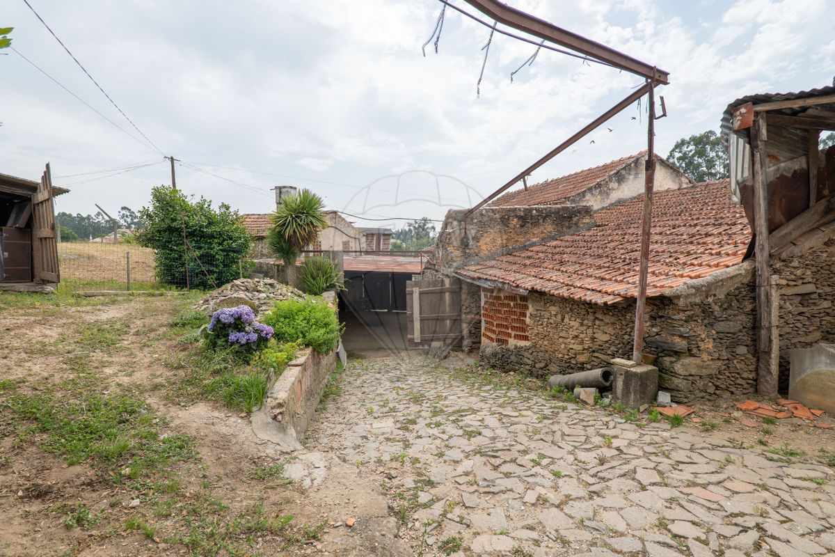 listing 126861039-5 picture-0