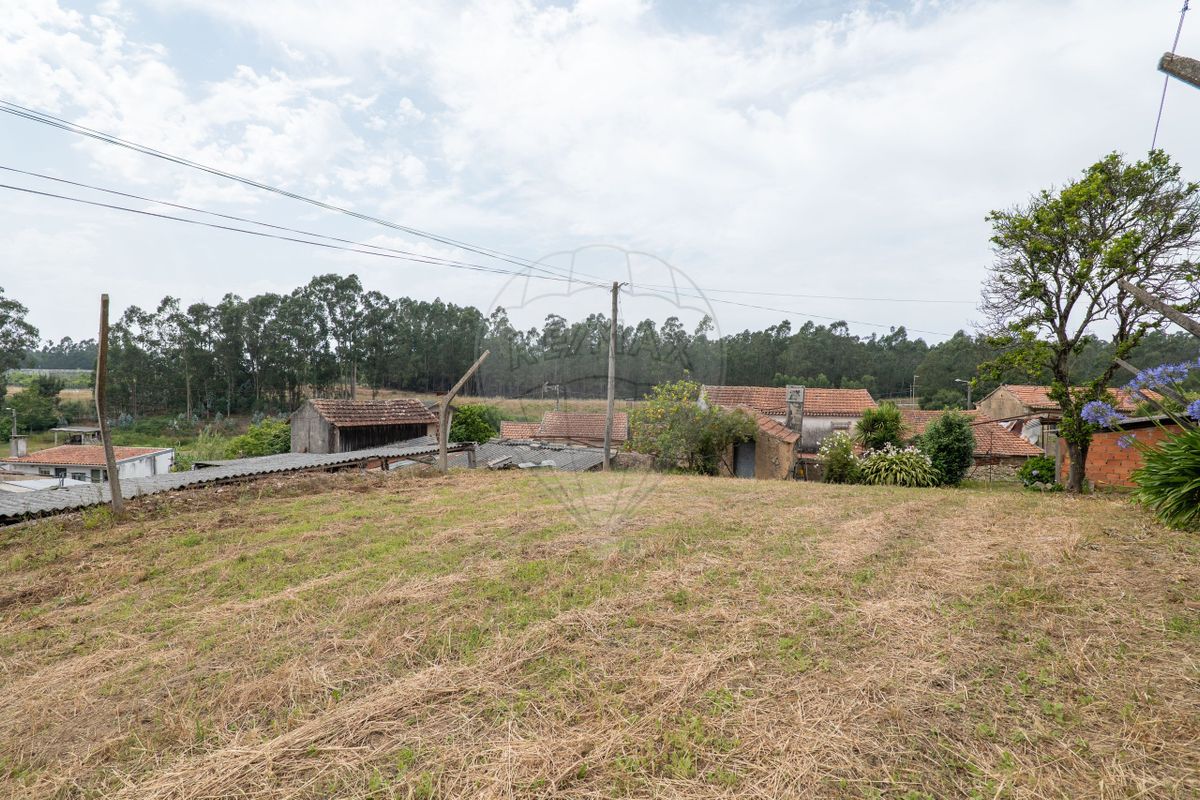 listing 126861039-5 picture-0