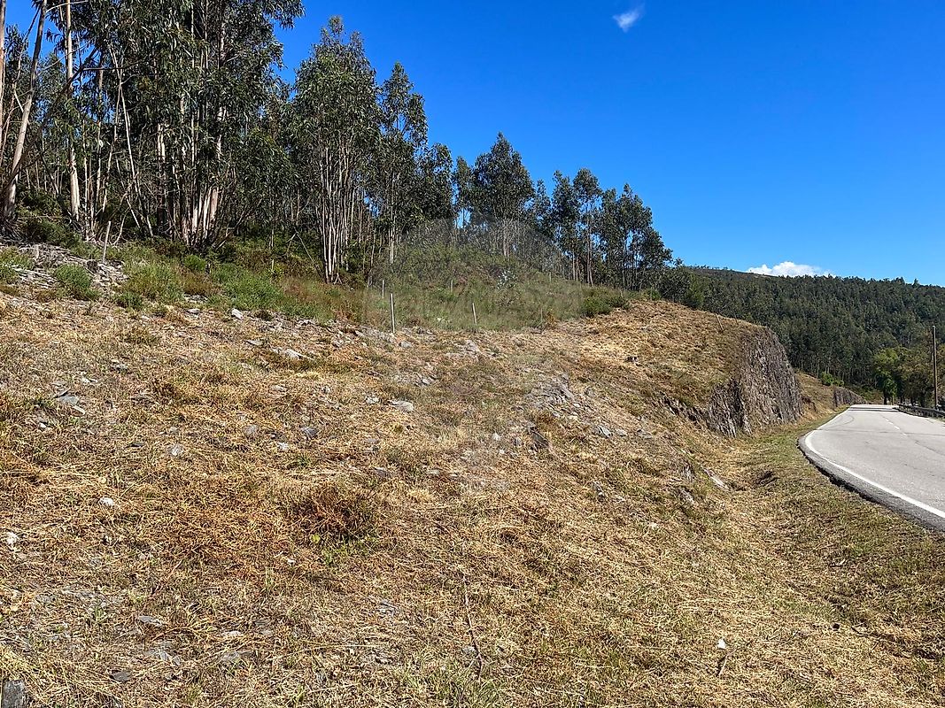 Terreno para venda