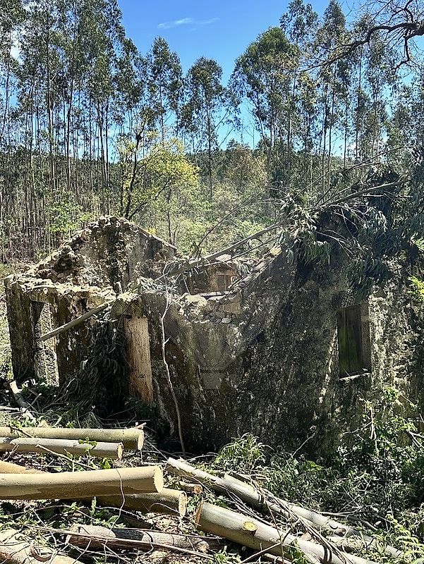 Terreno  para venda