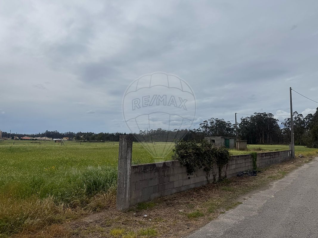 Terreno  para venda