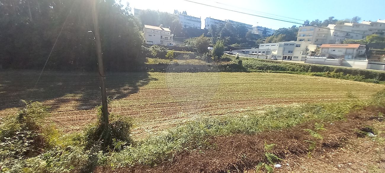 TODO