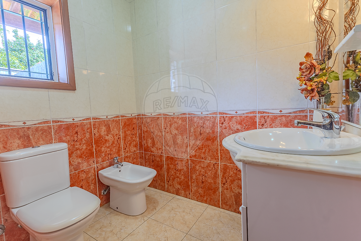de5ca11e-c6d9-43c2-b3cb-26839e678eb8.jpg - miniatura 4