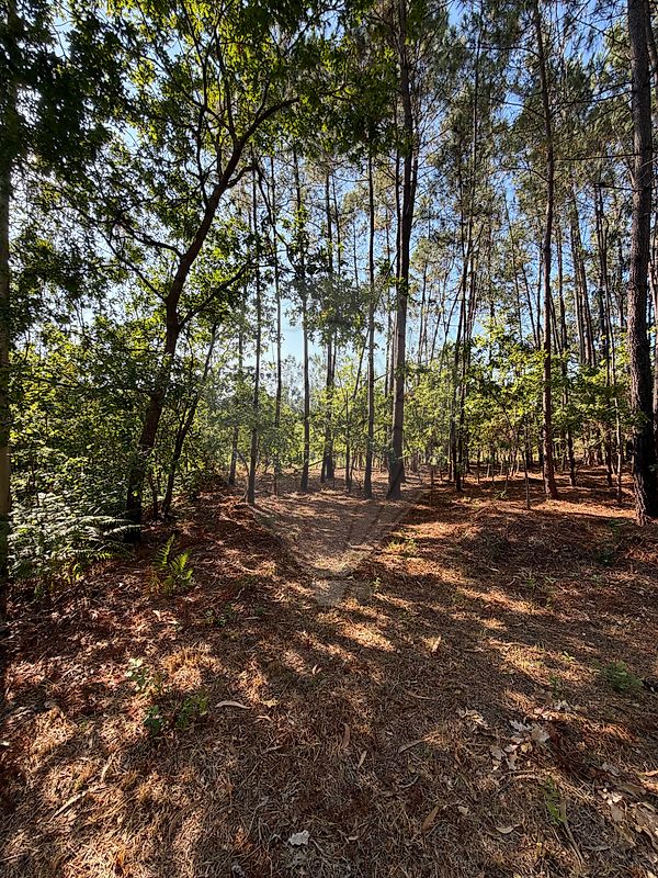 Terreno - Ossela, Oliveira de Azeméis, Aveiro