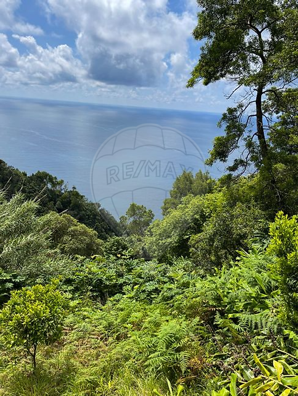 Terreno - Ribeira Quente, Povoação, Ilha de São Miguel