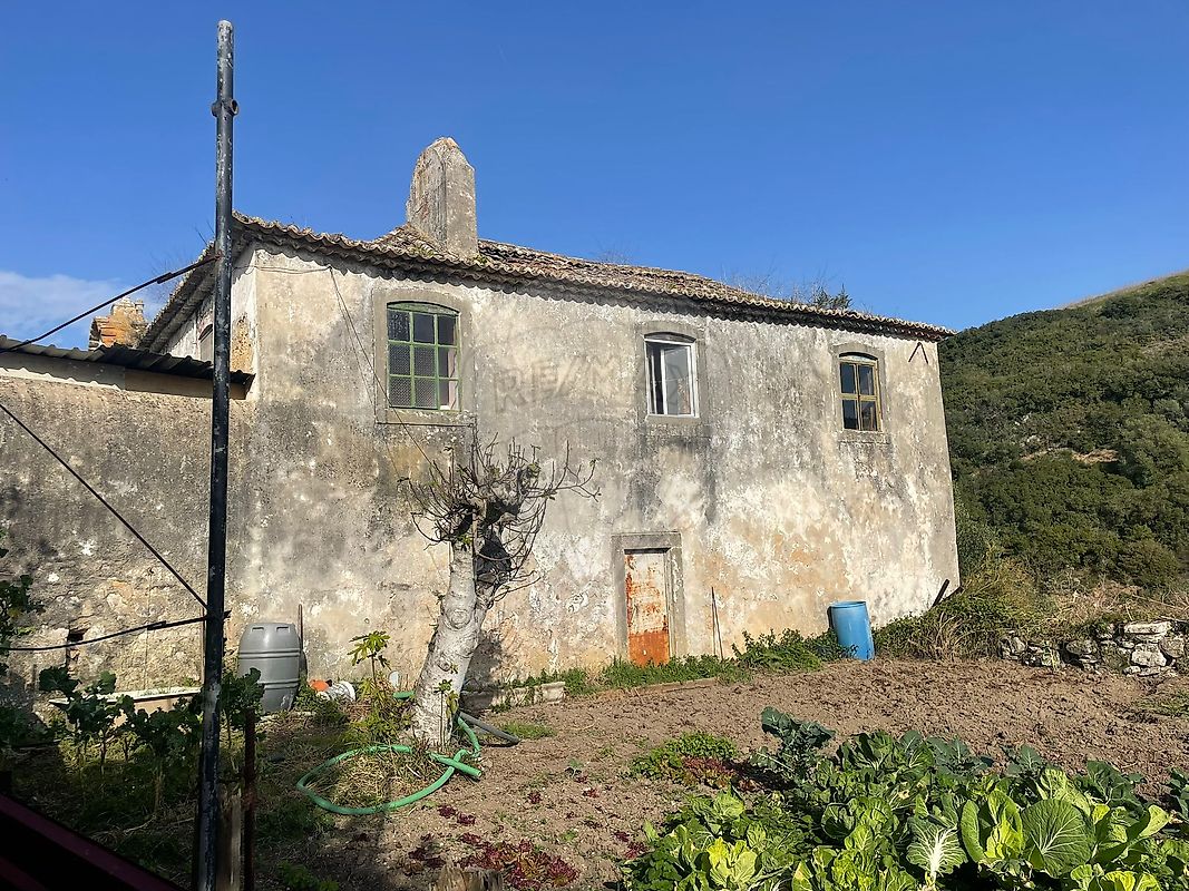 listing-picture-0