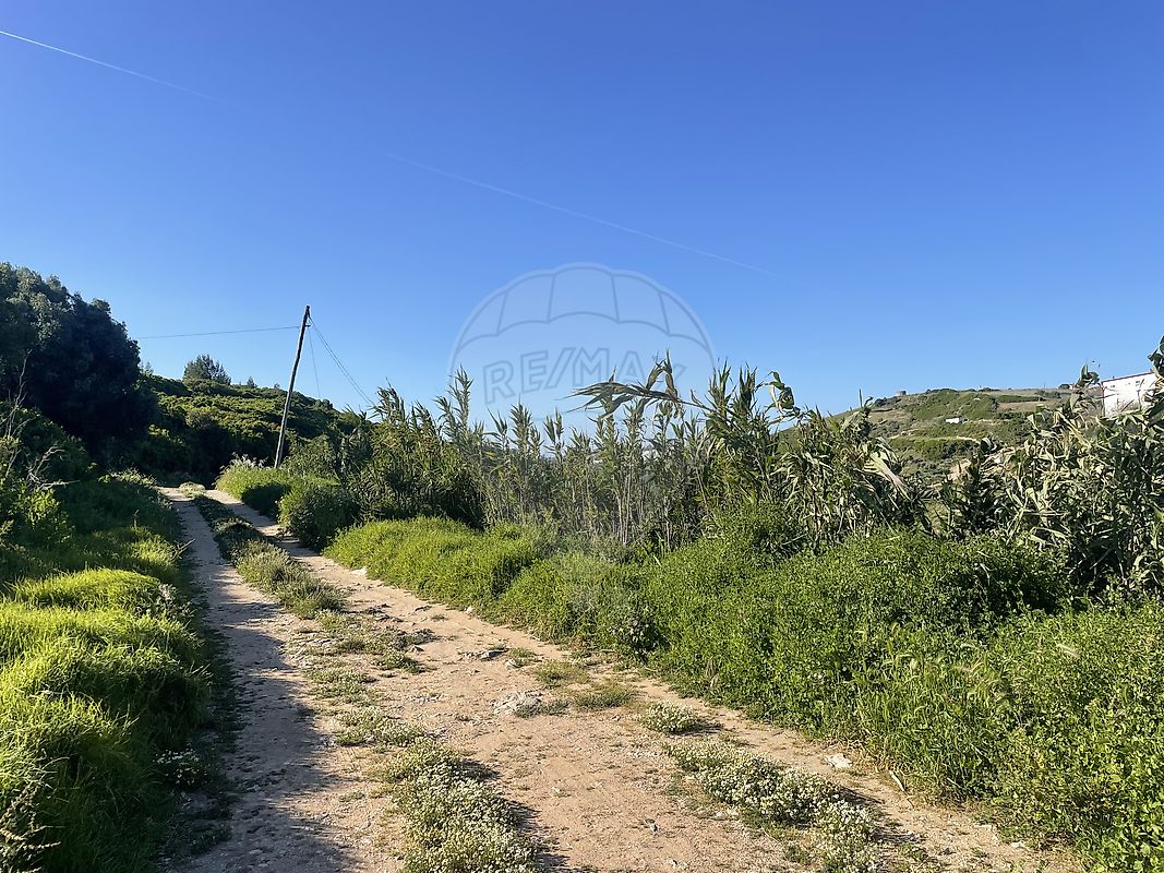 listing-picture-0