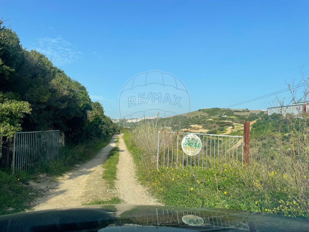 listing-picture-0