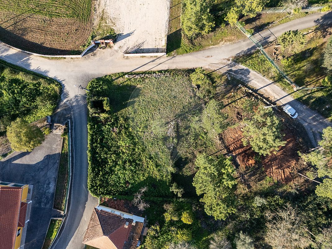 Terreno à venda em Torres Novas