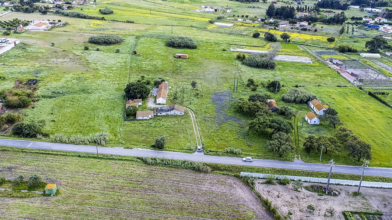 Quinta - Pinhal Novo, Palmela, Setúbal
