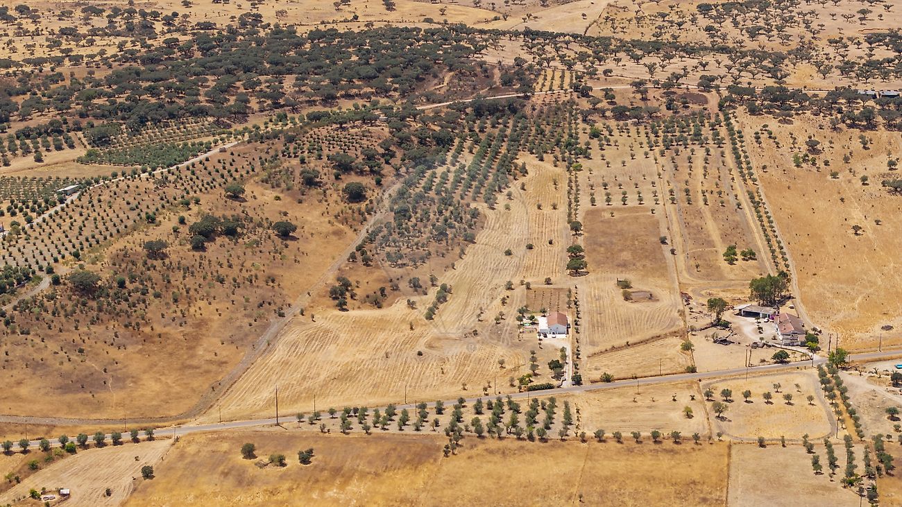 Moradia T4 à venda em Capelins (Santo António), Alandroal — foto 17