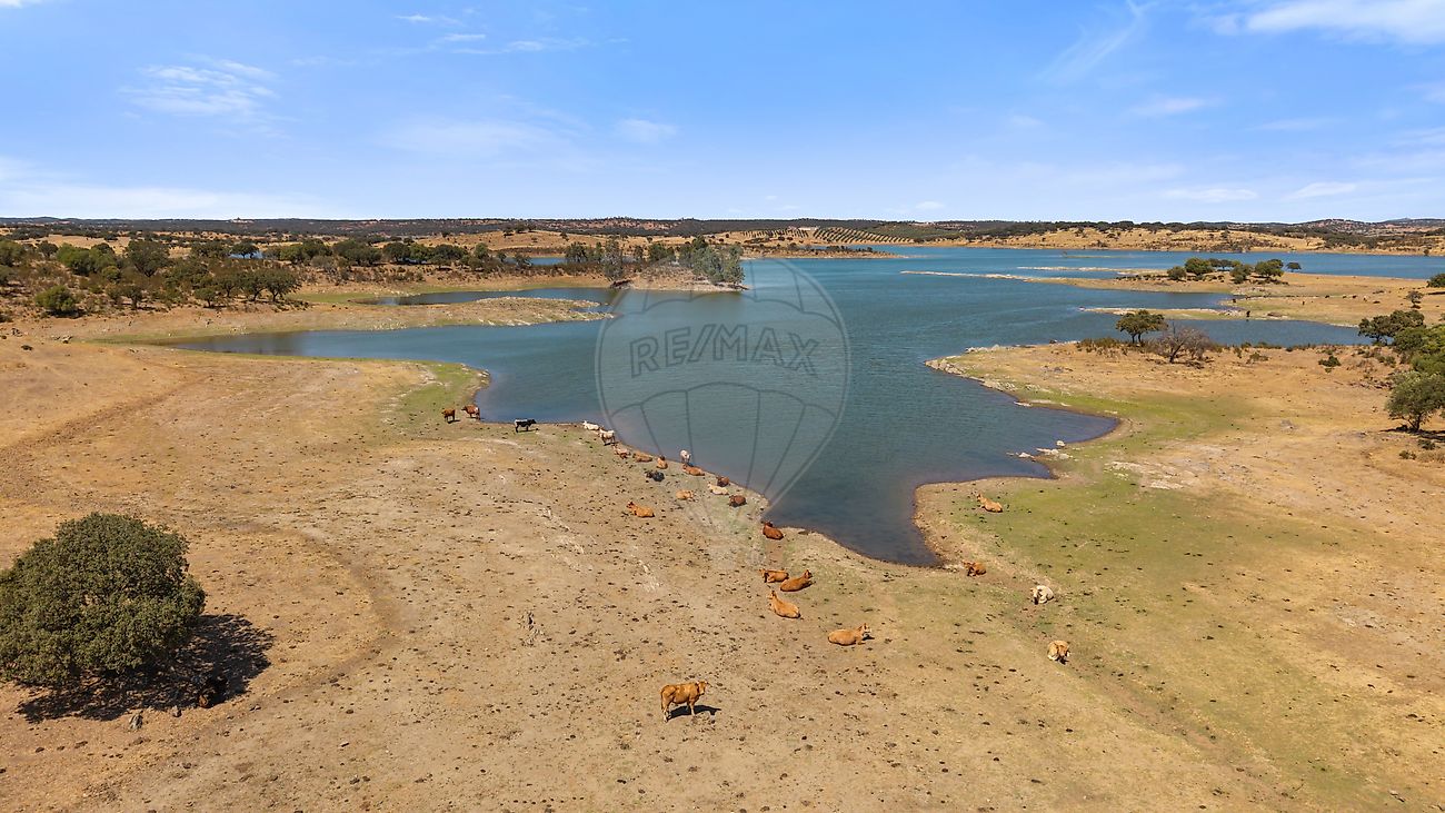 Moradia T4 à venda em Capelins (Santo António), Alandroal — foto 19