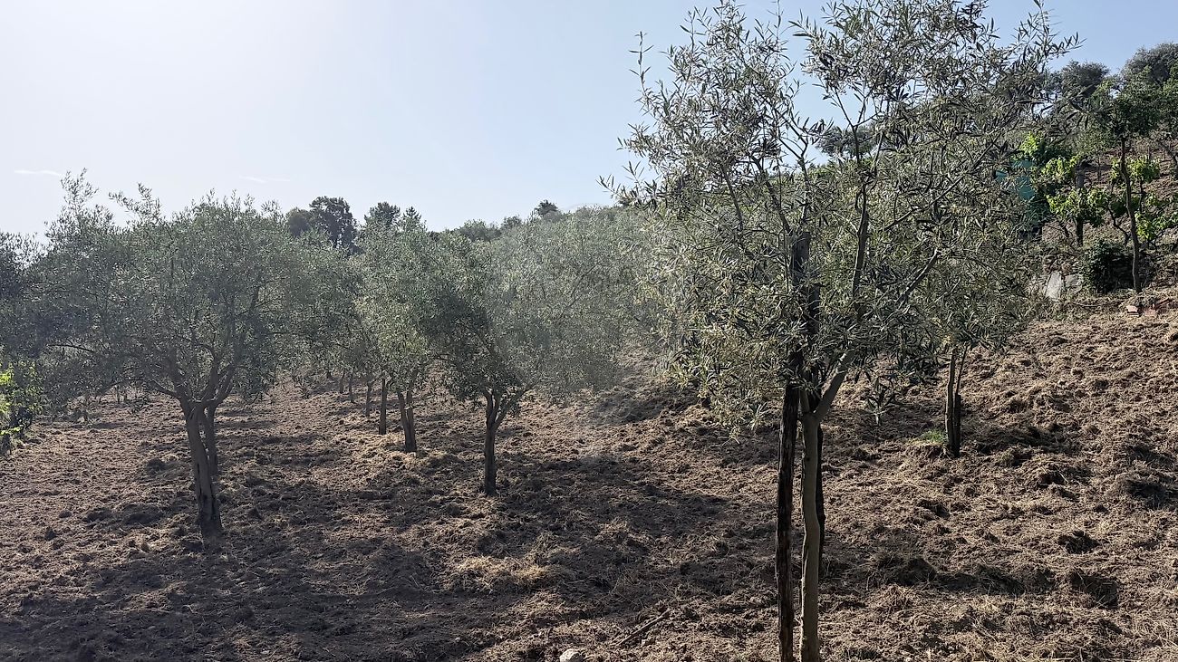 Moradia T3 à venda em Arcas, Macedo de Cavaleiros — foto 36