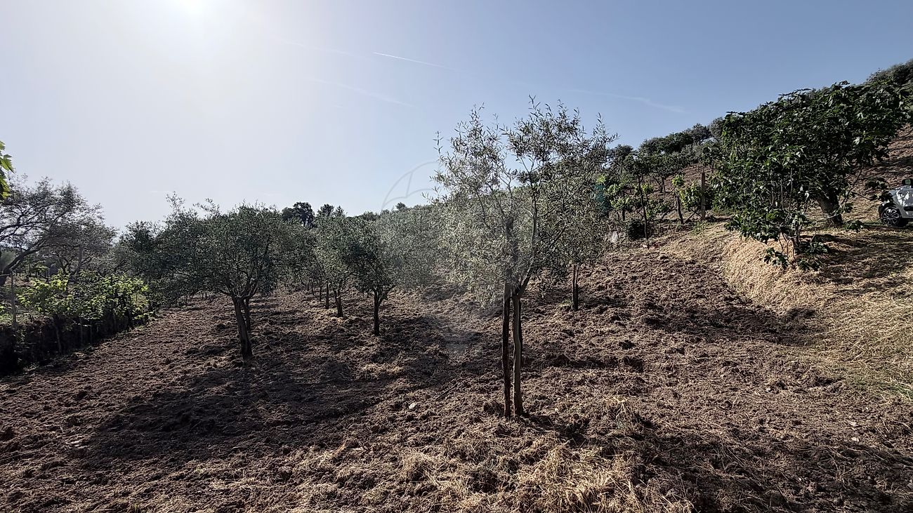 Moradia T3 à venda em Arcas, Macedo de Cavaleiros — foto 35