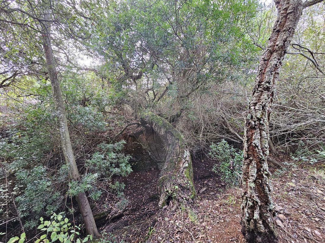 listing-picture-0