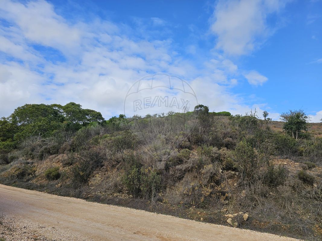 listing-picture-0