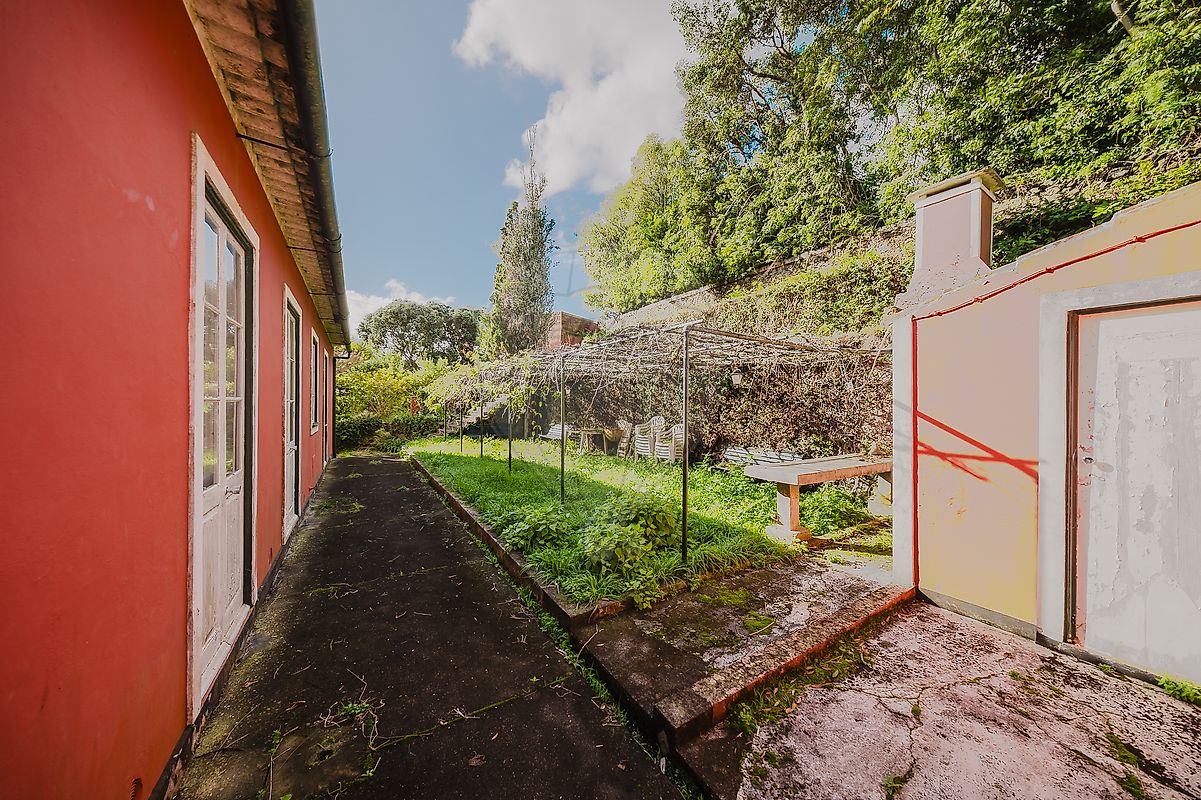 listing 126941016-6 picture-0