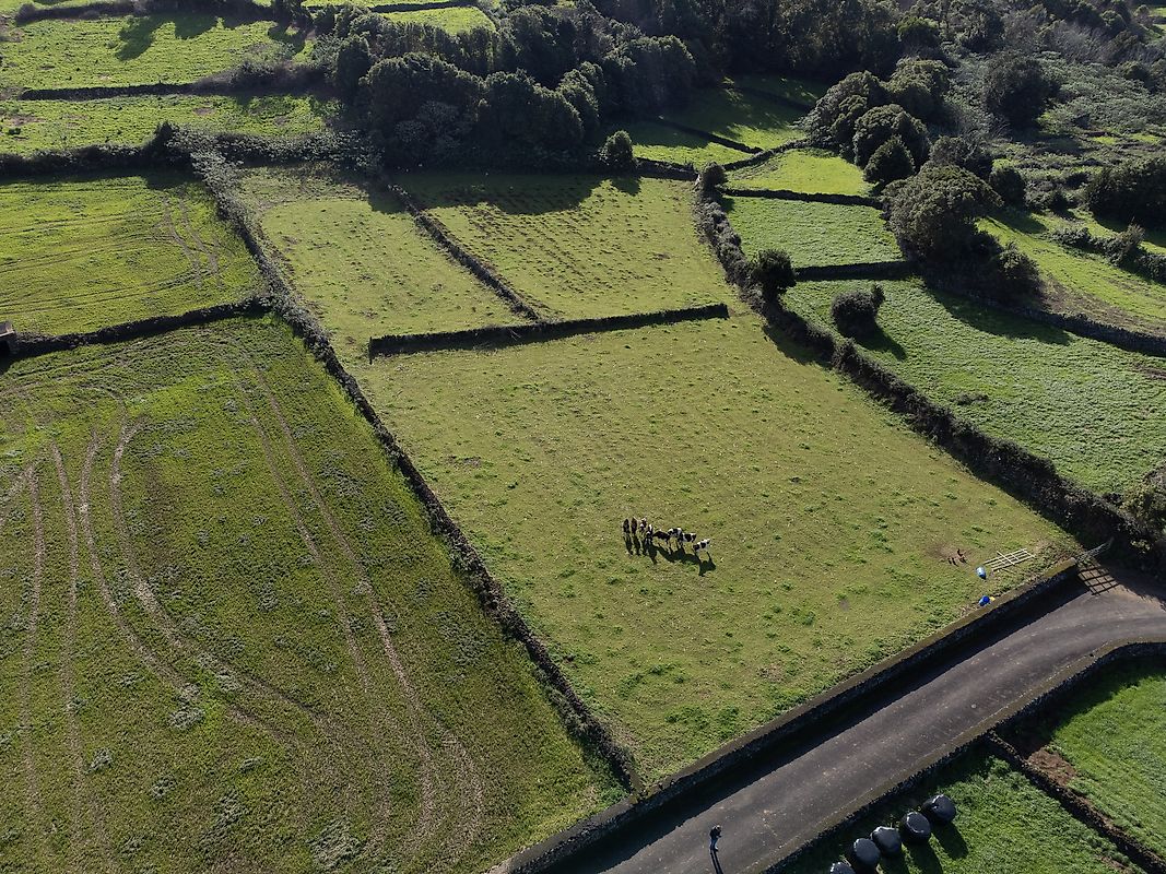 listing 126941021-81 picture-0