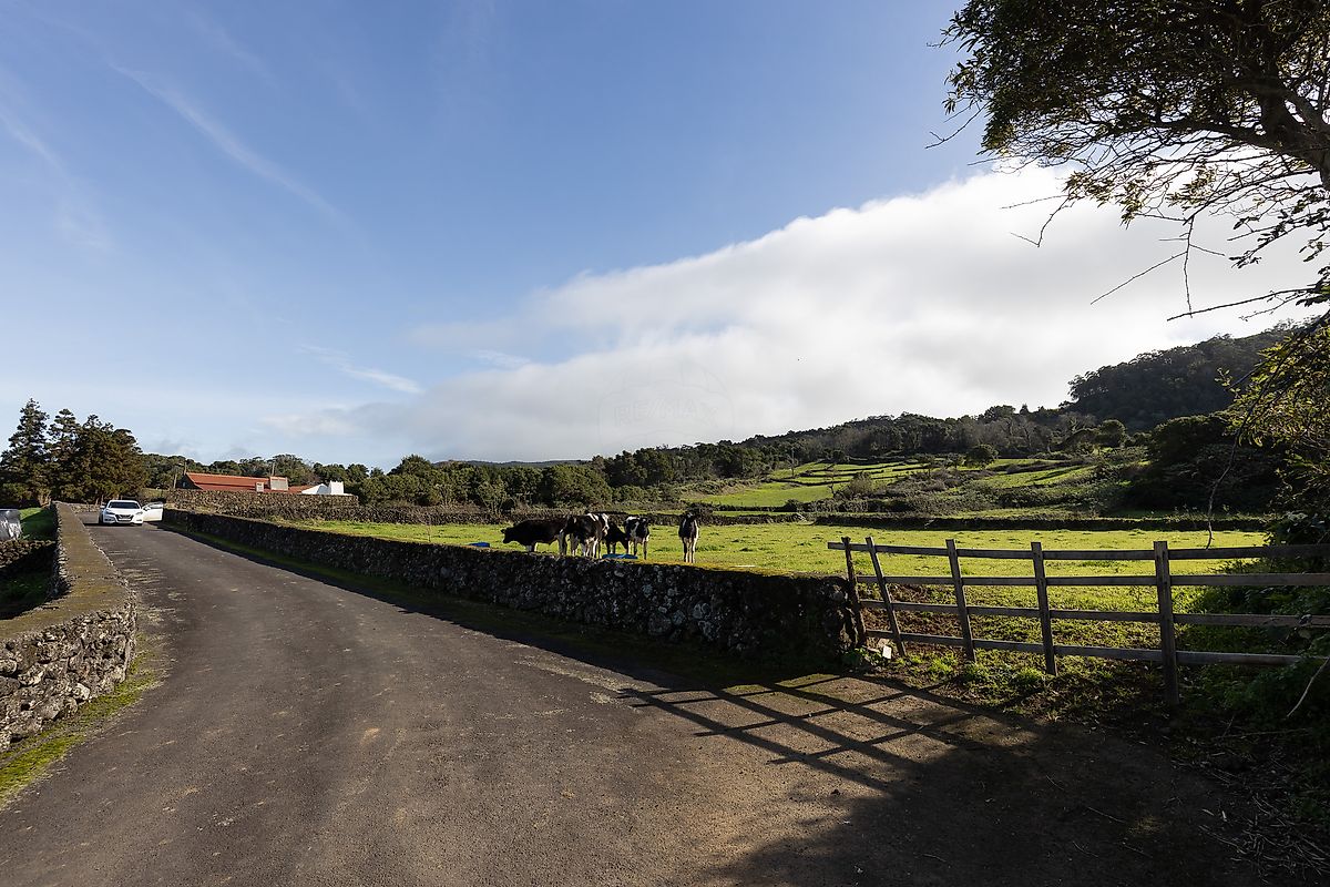 listing 126941021-81 picture-0