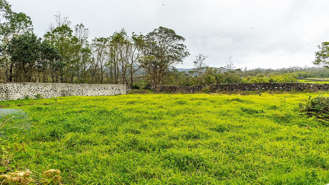 listing 126941012-13 picture-0