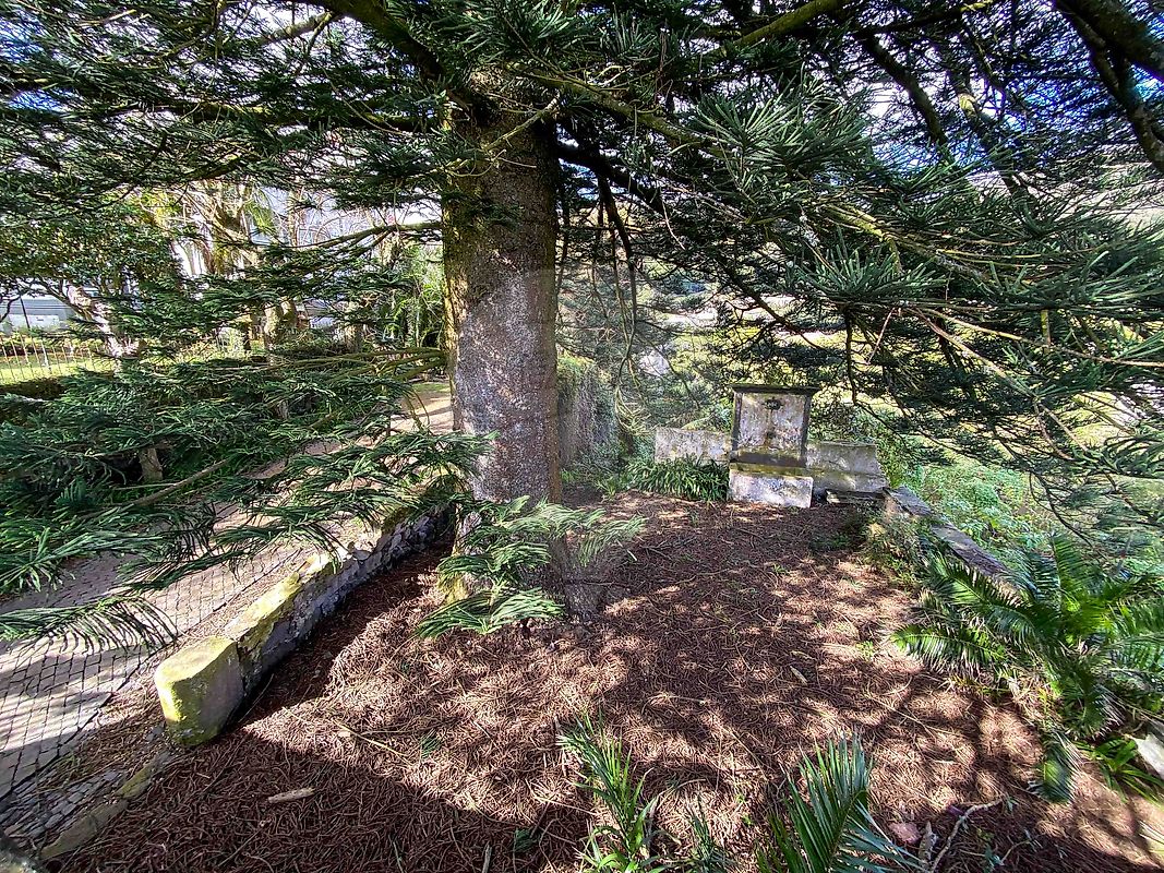 listing-picture-0