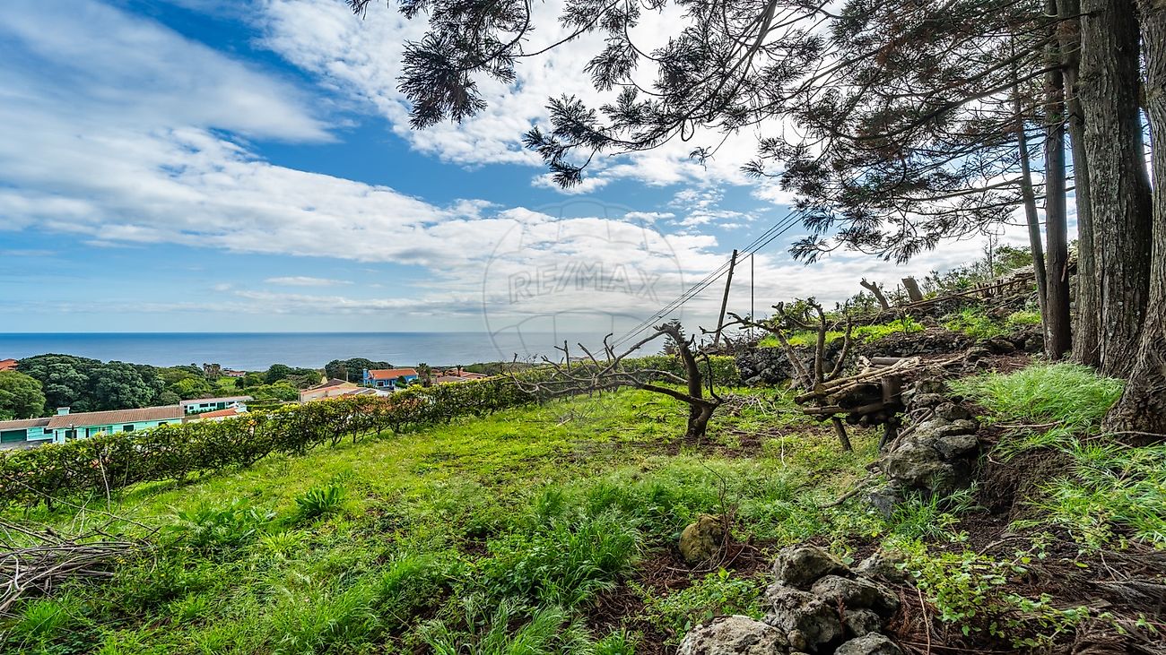 listing 126941036-1 picture-0