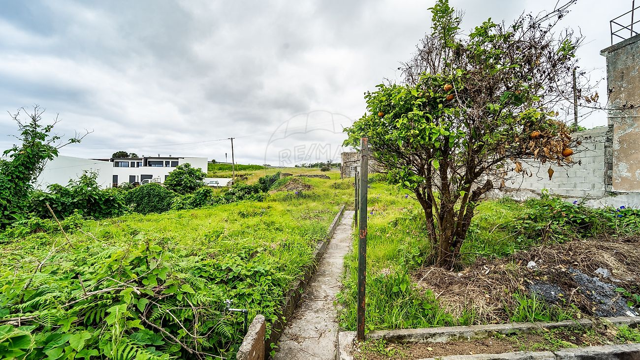 listing 126941013-23 picture-0
