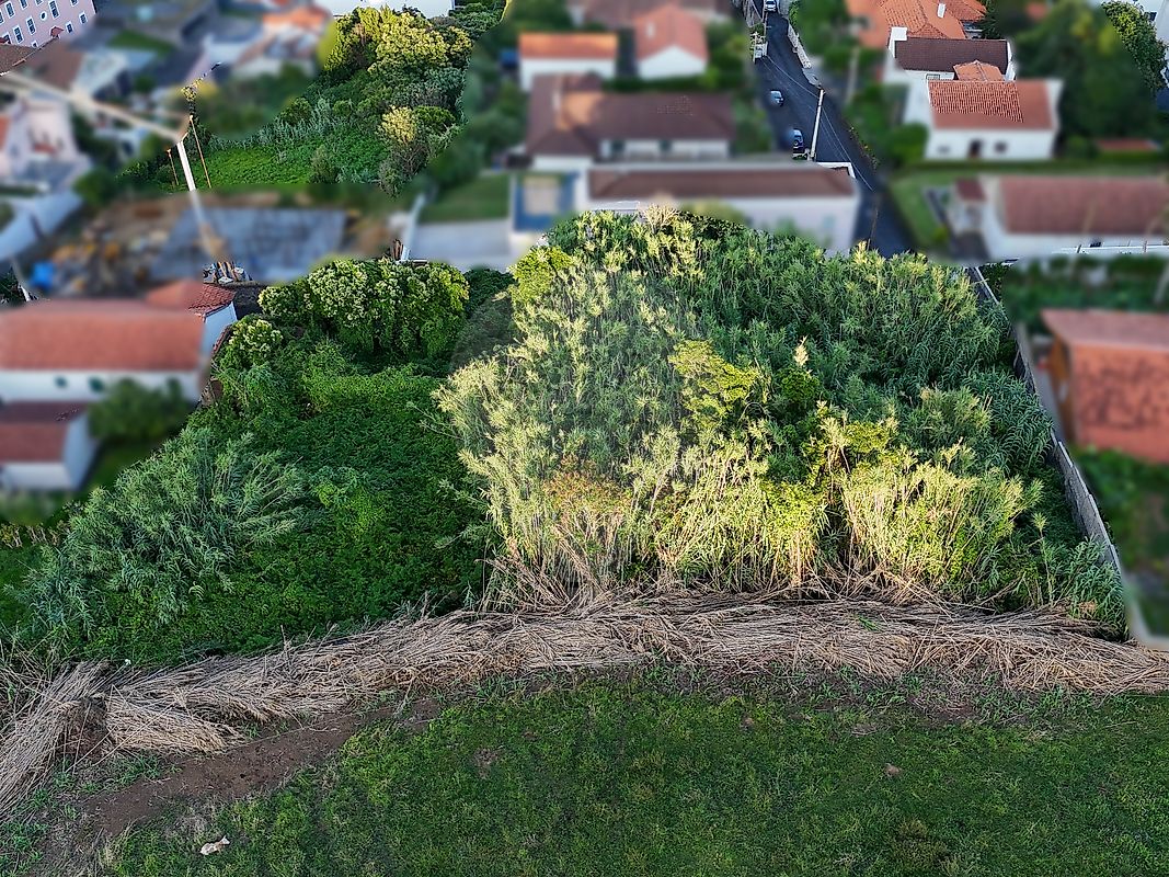 Moradia T1 à venda em Horta (Matriz), Horta — foto 10