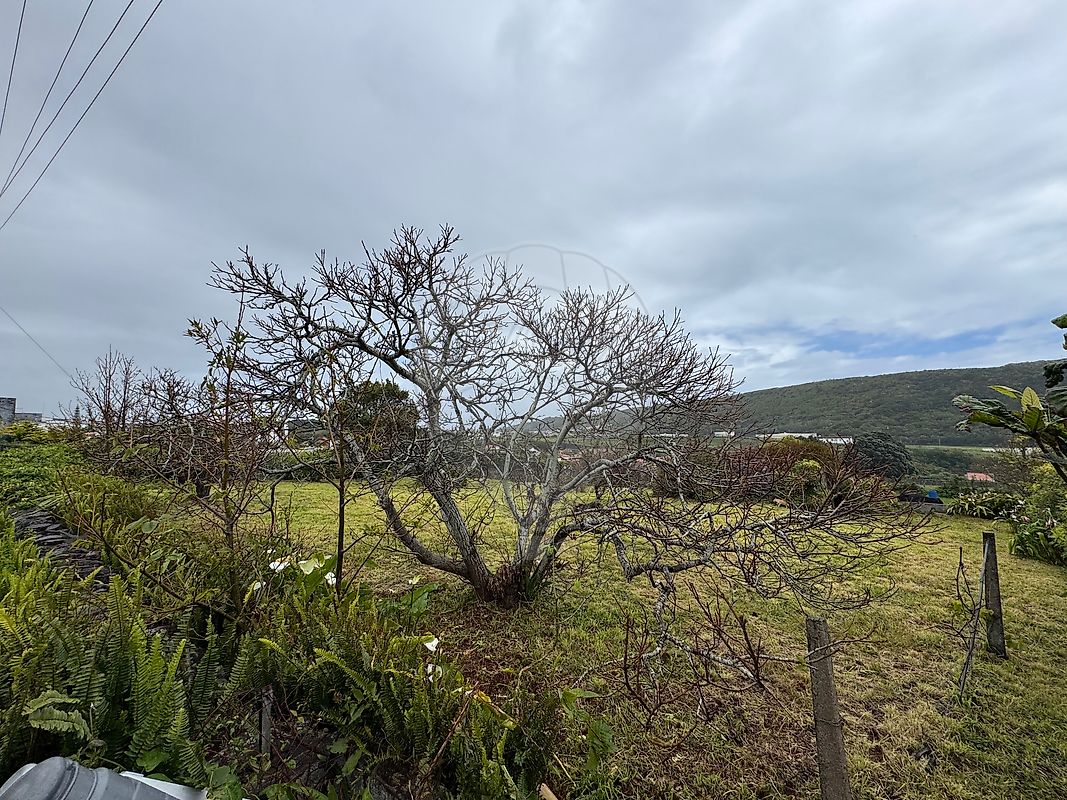 Moradia T3 à venda em Praia da Vitória (Santa Cruz), Praia da Vitória — foto 8