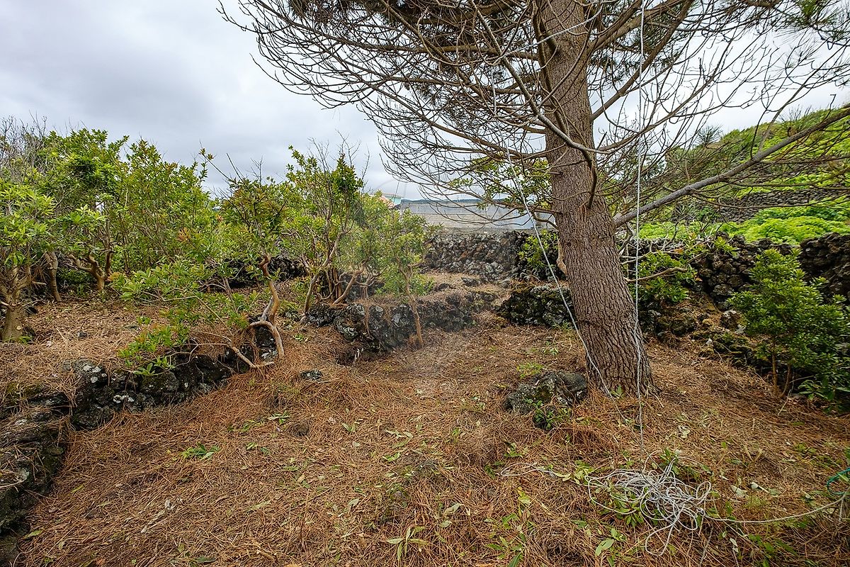 Moradia T2 à venda em Biscoitos, Praia da Vitória — foto 25