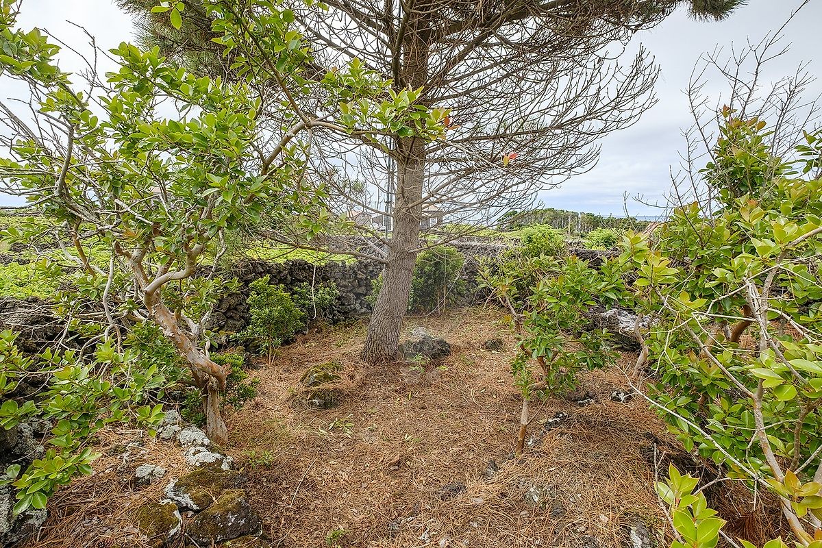 Moradia T2 à venda em Biscoitos, Praia da Vitória — foto 23
