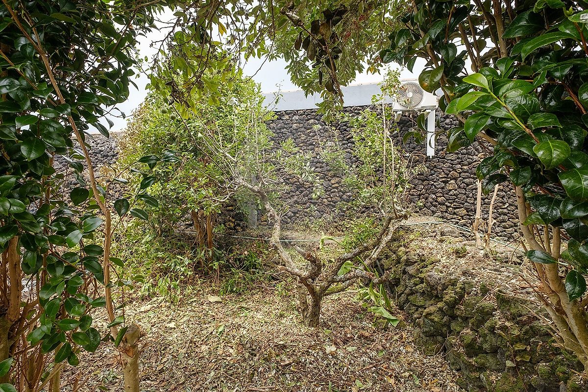 Moradia T2 à venda em Biscoitos, Praia da Vitória — foto 20