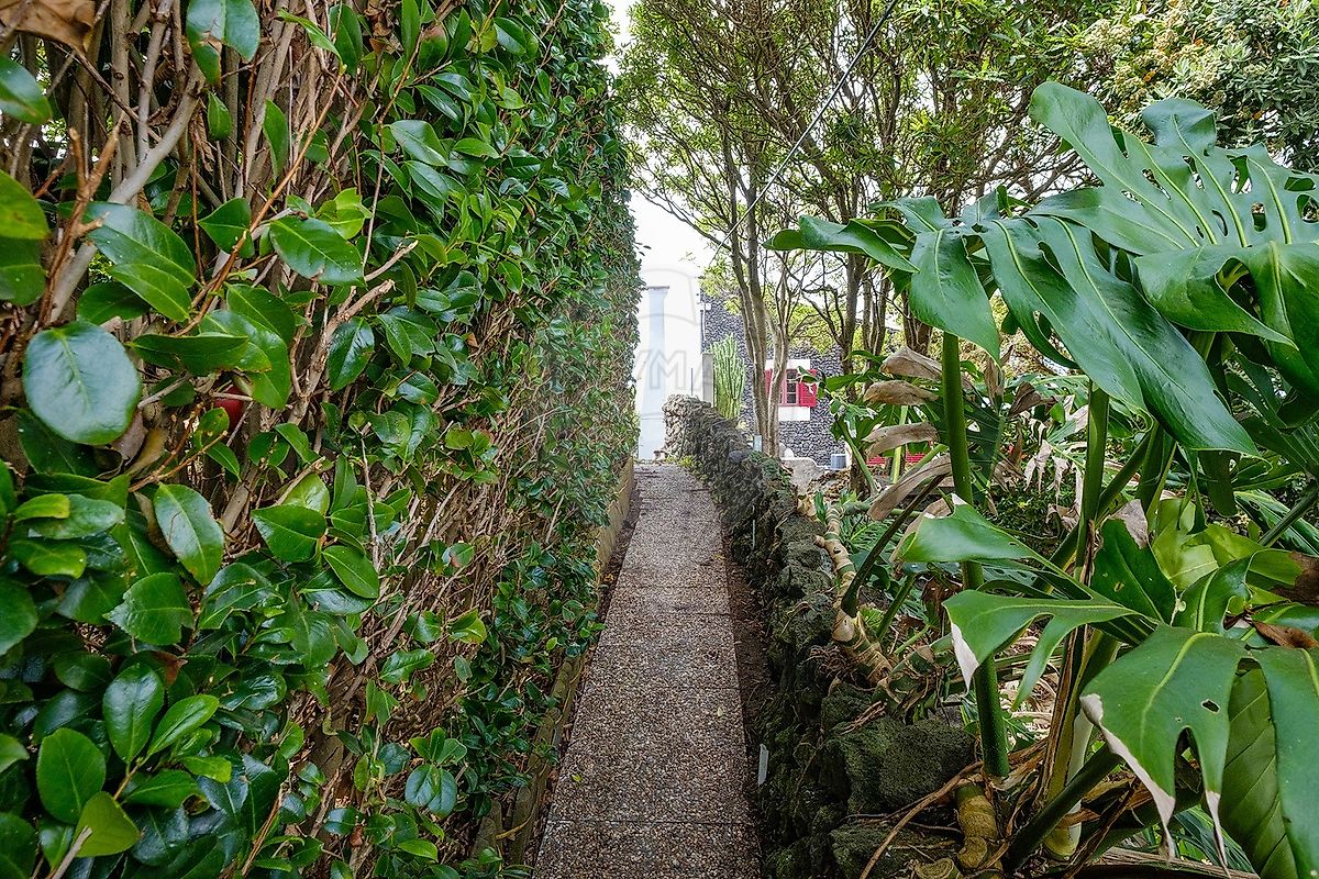Moradia T2 à venda em Biscoitos, Praia da Vitória — foto 17