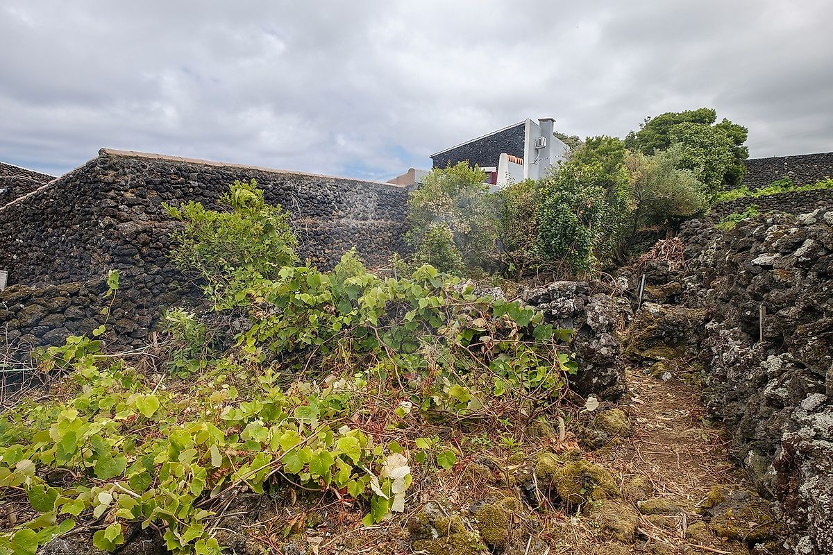 Moradia T2 à venda em Biscoitos, Praia da Vitória — foto 22