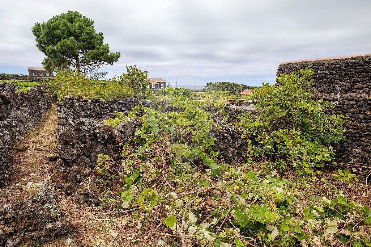 Moradia T2 à venda em Biscoitos, Praia da Vitória — foto 21