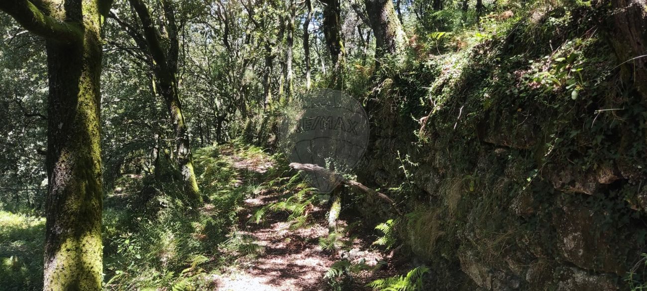Terreno para venda
