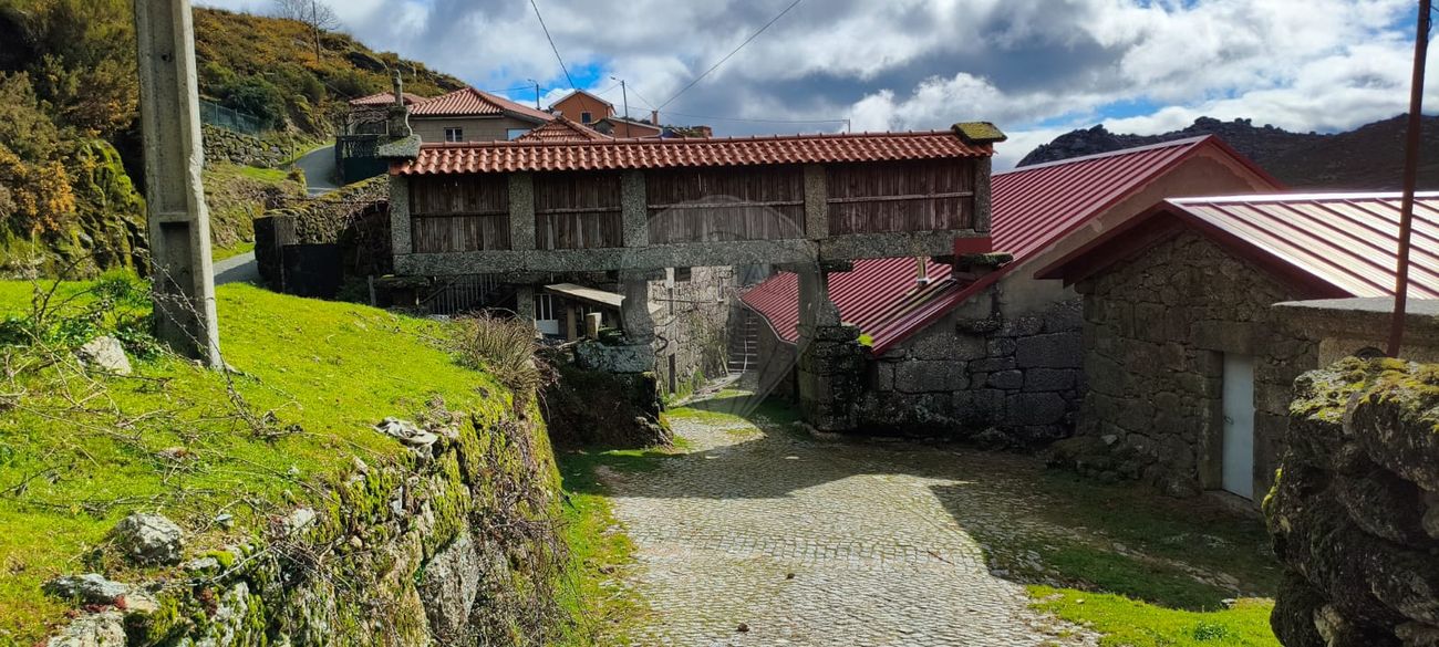 TODO