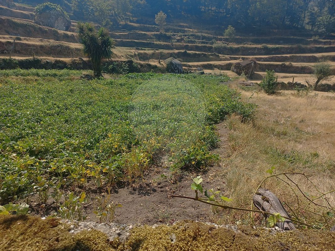 TODO