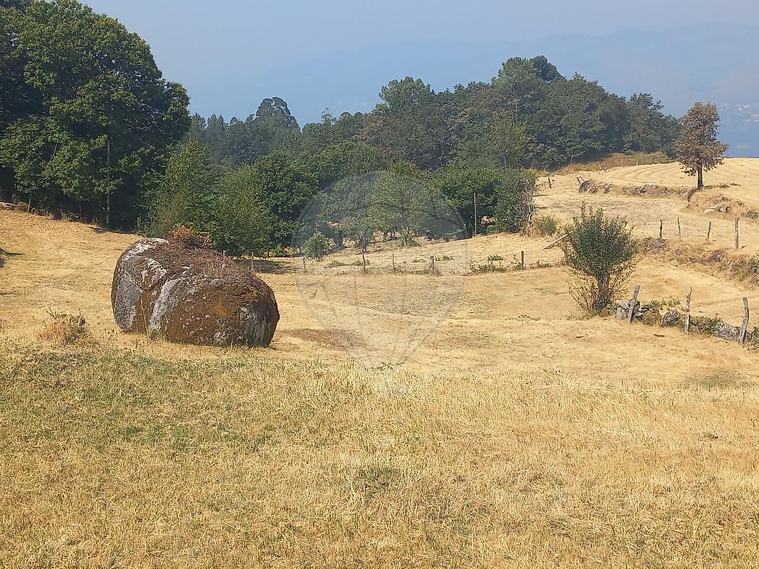 Terreno  para venda
