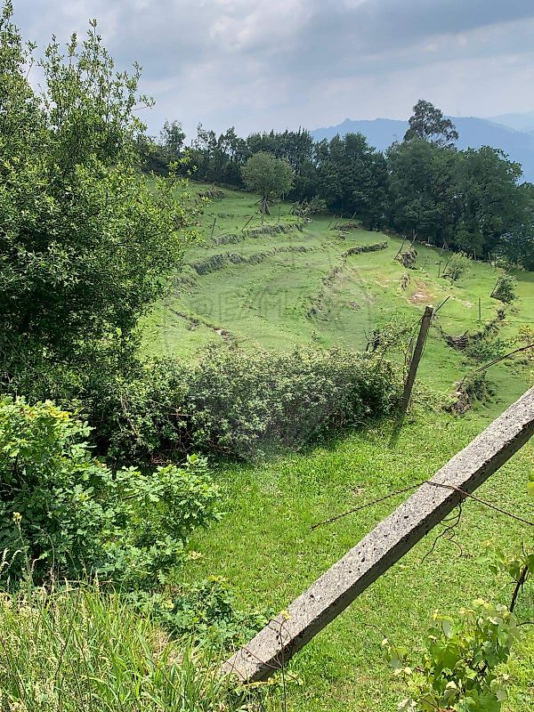 Terreno - Chorense e Monte, Terras de Bouro, Braga