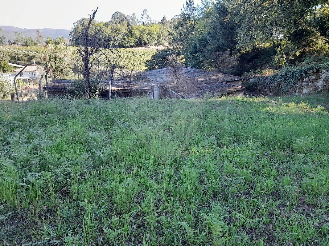 Moradia T0 à venda em Fiscal, Amares — foto 8