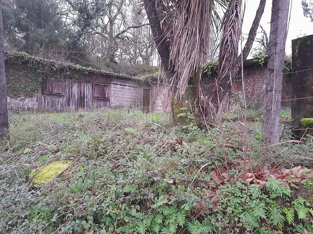 Moradia T0 à venda em Fiscal, Amares — foto 13
